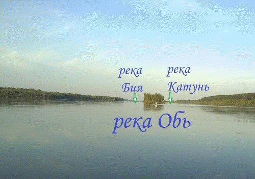 слияние катуни и бии фото онлайн